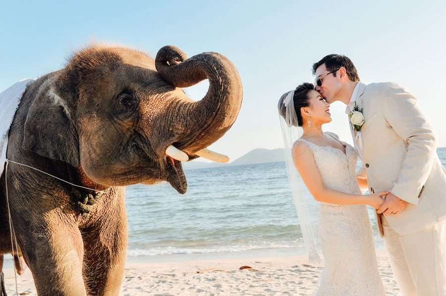 Phuket Dream Wedding Cindy & Carlos 20