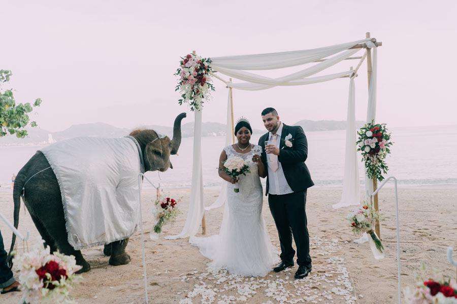 Phuket Dream Wedding Fatima & Mohammad Ceremony With Elephant