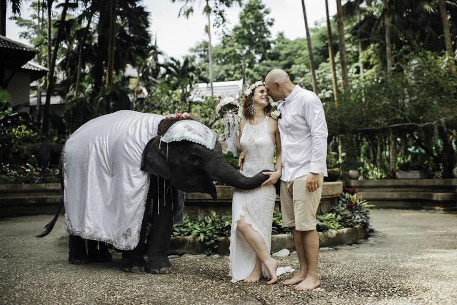 Extra Services Baby Elephant Blessings A bride and groom joyfully pose with an elephant, celebrating their Thai wedding in Phuket, surrounded by lush greenery.